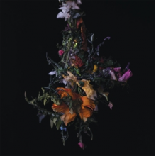 Big Brave - Nature Morte