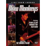 Blow Monkeys - Live From London