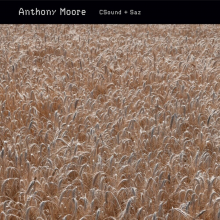 Moore, Anthony - C-Sound & Saz