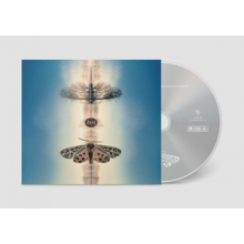 Roedelius, Hans-Joachim - Lunz