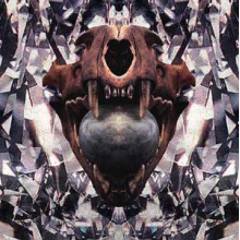 Hototogisu - Chimarendammerung