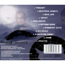 Arctic Sunrise - A Smarter Enemy