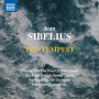 Royal Danish Orchestra - Sibelius: the Tempest