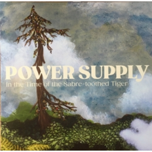 Power Supply - In the Time of the Sabre-Toothed Tiger