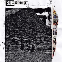 Preening - 7-Greasetape Frisebee