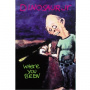 Dinosaur Jr. - Where You Been