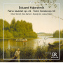 Triendl, Oliver / Nina Karmon / Diyang Mei - Napravnik: Piano Quartet & Violin Sonata
