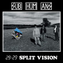 Subhumans (Uk) - 29:29 Split Vision