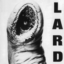 Lard - Power of Lard
