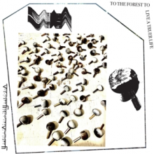 Yoshimioizumikiyoshiduo - To the Forest To Live a Truer Life