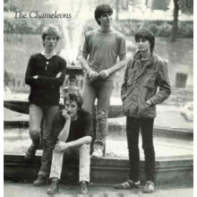 Chameleons - Tony Fletcher Walked On Water
