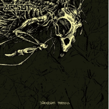 Ursut - Dararnas Paradis