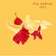 V/A - Pop Ambient 2023