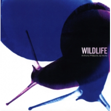 Phillips, Anthony & Joji Hirota - Wildlife