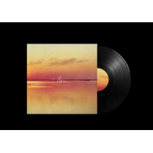 Shauf, Andy - Norm