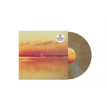 Shauf, Andy - Norm