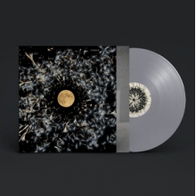 O'Neill, Lisa - All of This is Chance