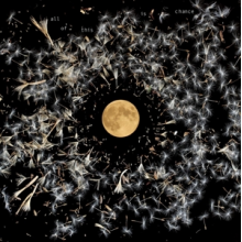 O'Neill, Lisa - All of This is Chance