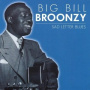 Broonzy, Big Bill - Sad Letter Blues