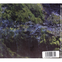 Animal Collective - Water Curses