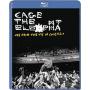 Cage the Elephant - Live From the Vic In Chicago