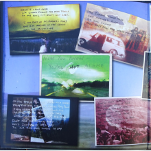 Ray, Amy - If It All Goes South