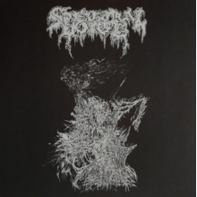 Spectral Voice - Necrotic Demos