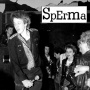 Sperma - Sperma