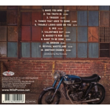 Wild Ponies - Things That Used To Shine