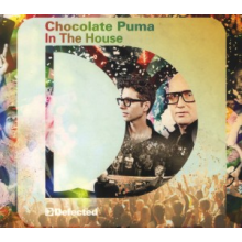 Chocolate Puma - In the House