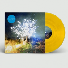 Notwist - Vertigo Days