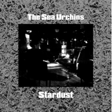Sea Urchins - Stardust