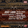 Johanns, Thorsten / Juri Vallentin - Josef Labor: Quintet For Clarinet Op. 11 - Quintet In D - Clarinet Trios