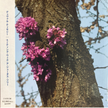 Timothy, Duval - Meeting With a Judas Tree