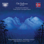 Makris Symphony Orchestra / Jorn Fossheim / Christopher Tun Andersen - Ole Hjellemo: Orchestral Works