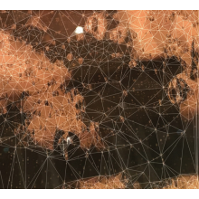 Surface 10 - A Stray Ending