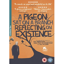 Movie - Pigeon Sat On a Branch Reflecting Upon Existence