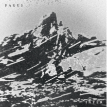 Fagus - Inter