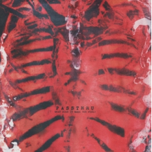 Passthru - What Does It Make You Feel?