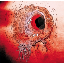 Flying Luttenbachers - Terror Iredescence