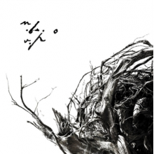 Negura Bunget - Virstele Pamintului