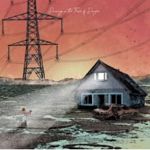 Exploring Birdsong - Dancing In the Face of Danger