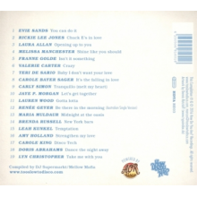 V/A - Ladies of Too Slow To Disco