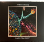 Church, Chris - Radio Transient