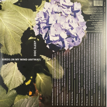 Doc Sleep - Birds (In My Mind Anyway)