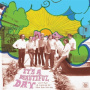 V/A - It's a Beautiful Day