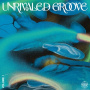 V/A - Unrivaled Groove Vol.1