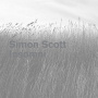 Scott, Simon - Insomni