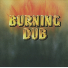 Revolutionaries - Burning Dub