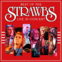 Strawbs - Live In Concert -2006-
